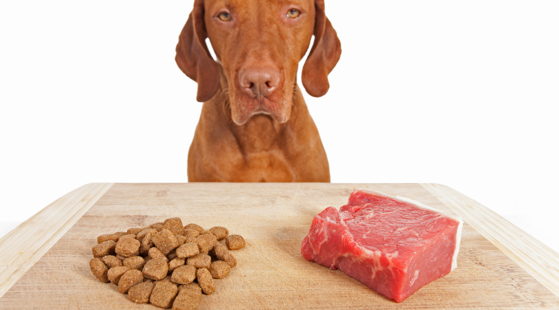 -cooked-vs.-raw-foods-for-our-carnivore-pets.png