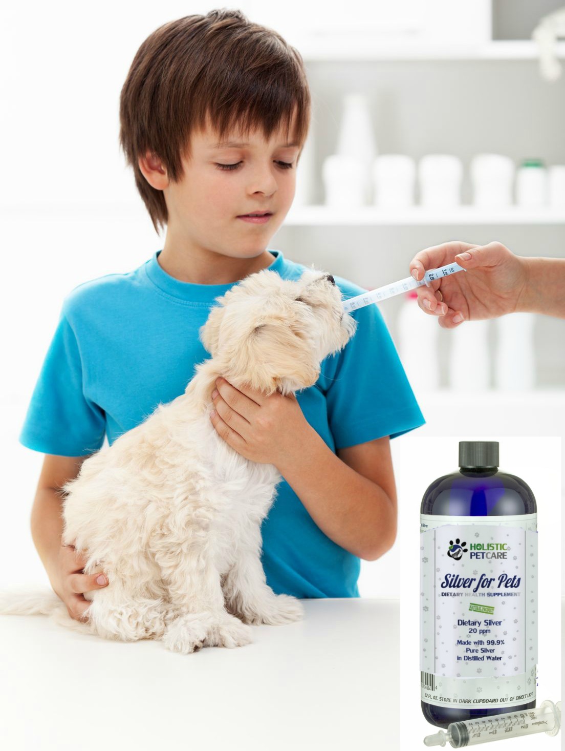 Dog Itching Remedies And How to Use Them Holistic Pet Care