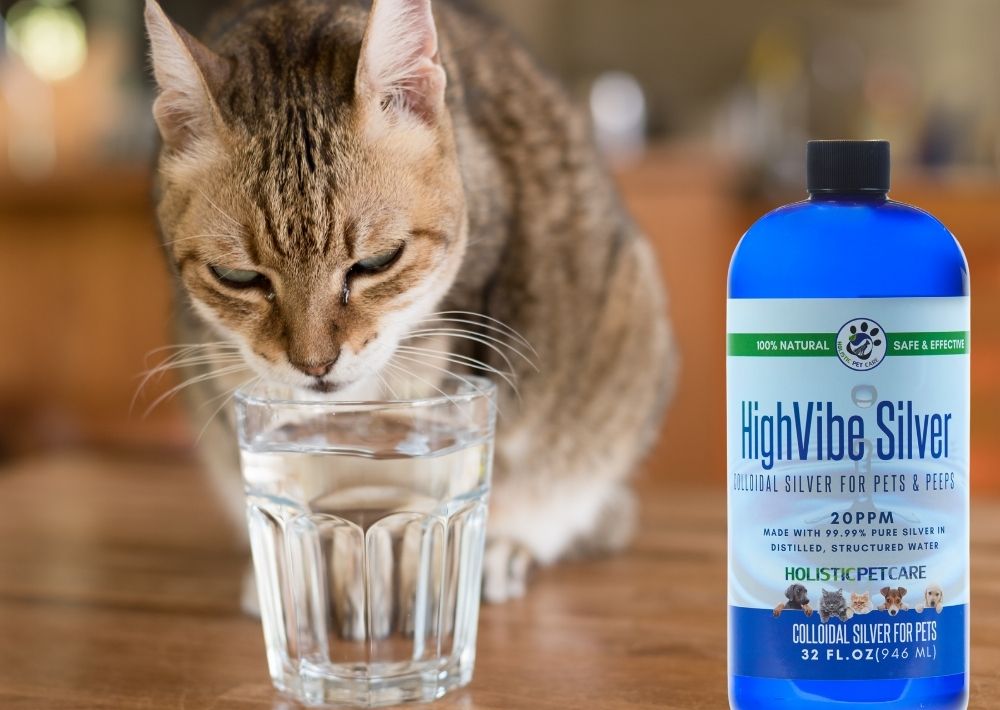 Colloidal silver and store cats