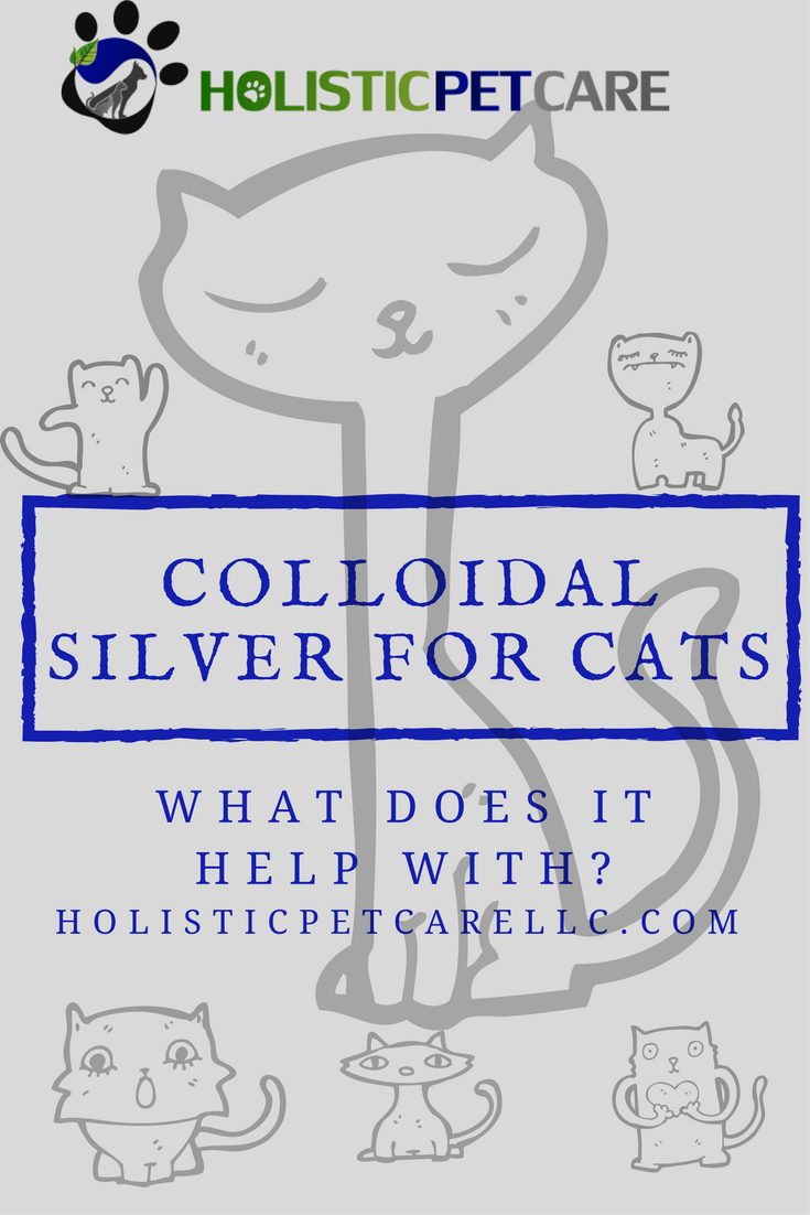 Colloidal Silver for Cats - Holistic Pet Care