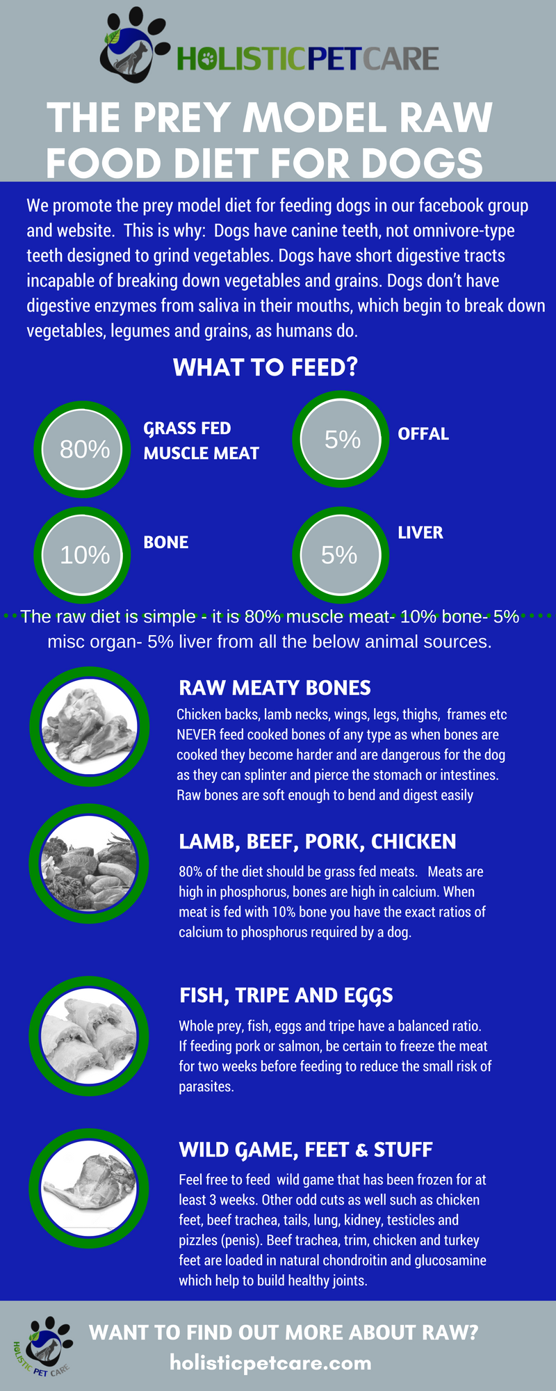 What is the raw food diet for dogs