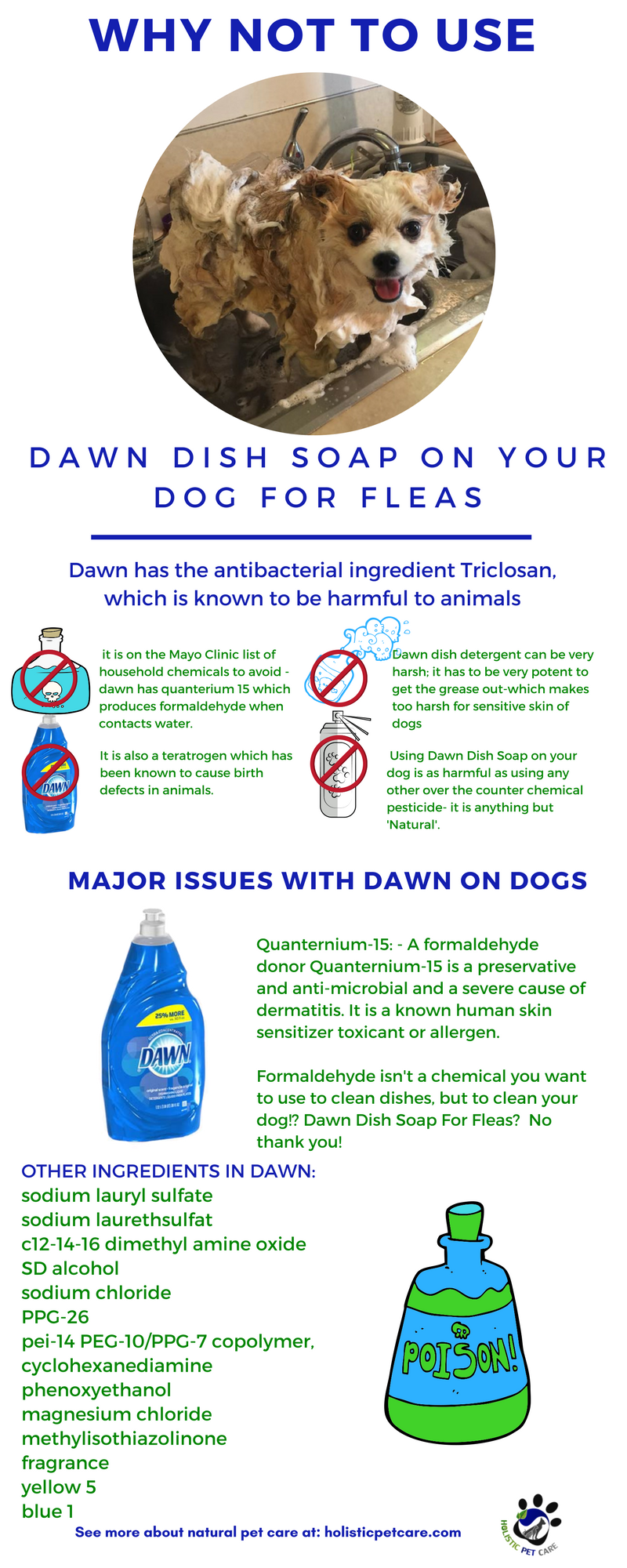 Flea treatment with dawn 2025 dish soap and vinegar